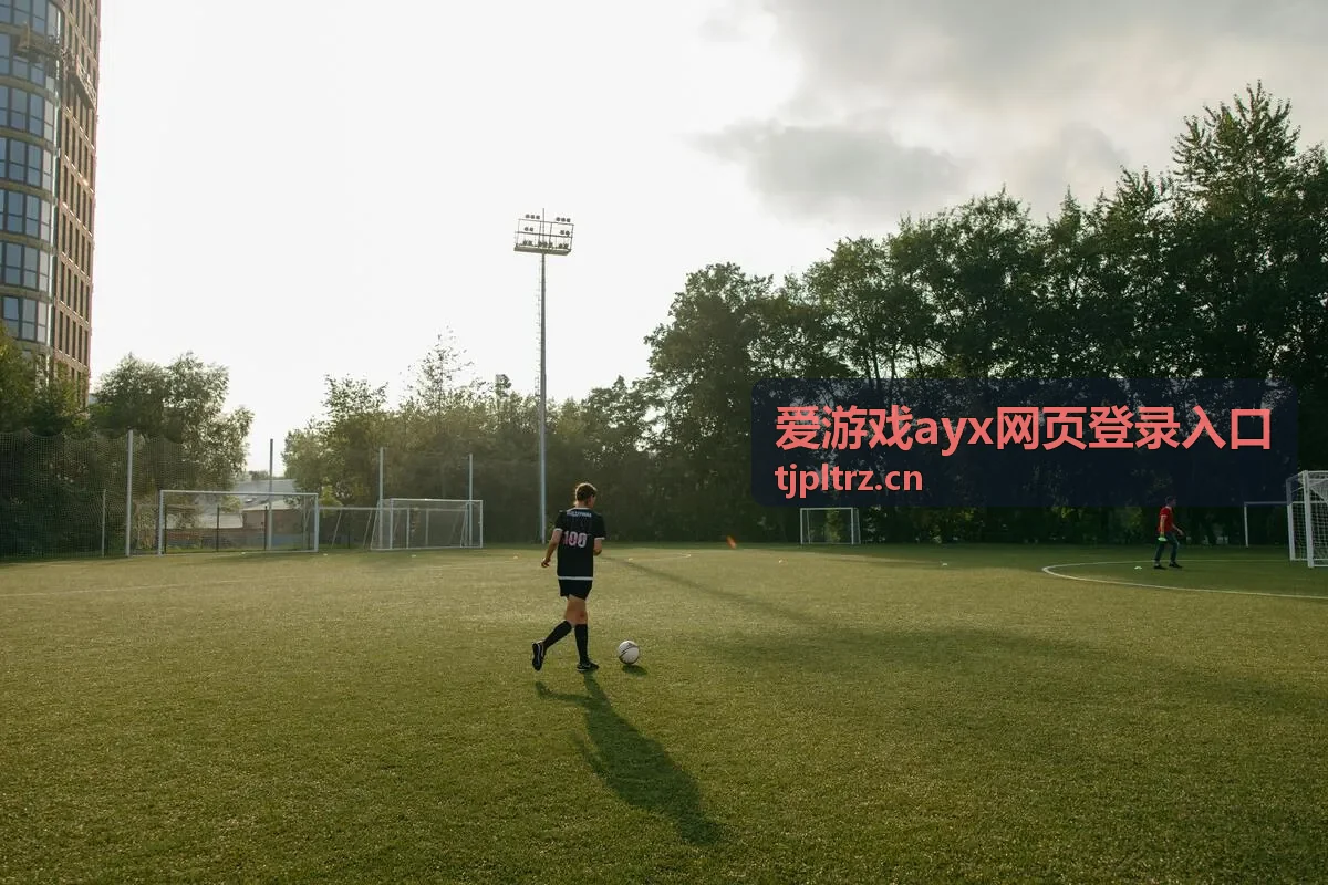 爱游戏ayx网页登录入口 账号信息核对